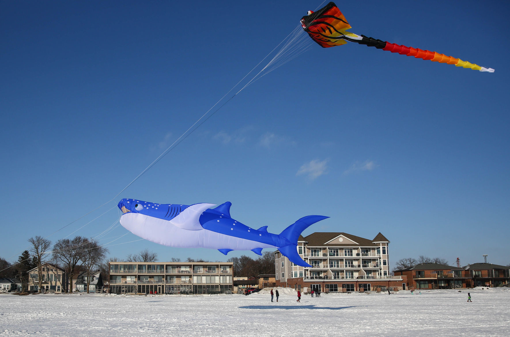 Color the Wind kite festival 02-15-2020 (72).jpg